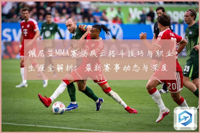 佩尼亚MMA赛场风云格斗技巧与职业生涯全解析：最新赛事动态与深度分析