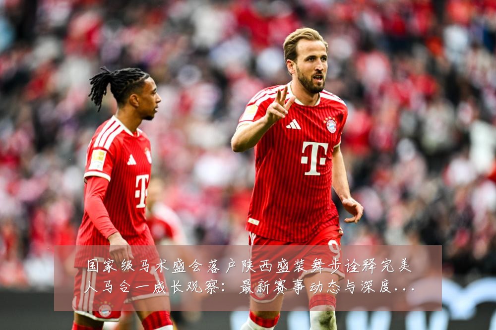 国家级马术盛会落户陕西盛装舞步诠释完美人马合一成长观察:最新赛事动态与深度分析
